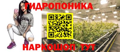 прущая мука Моздок